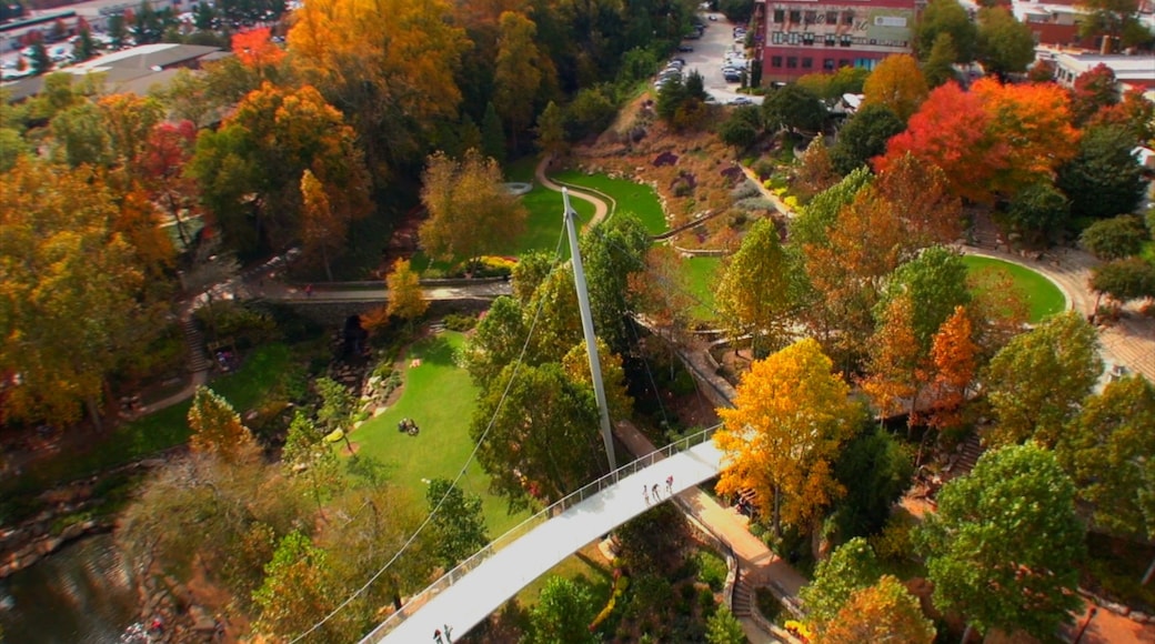 Greenville - Spartanburg