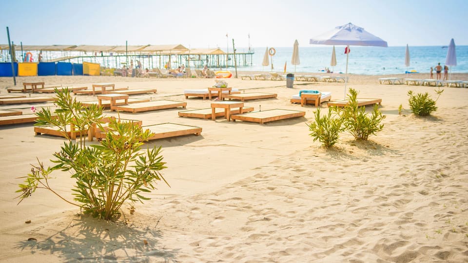 A beach with wooden lounge chairs and tables, a pier in the background, and a clear sky.