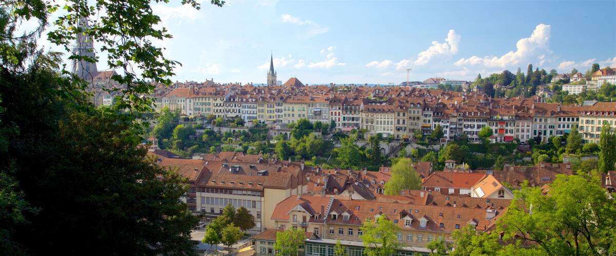 A river with buildings along its banks, a prominent church spire, and a dense cluster of houses.