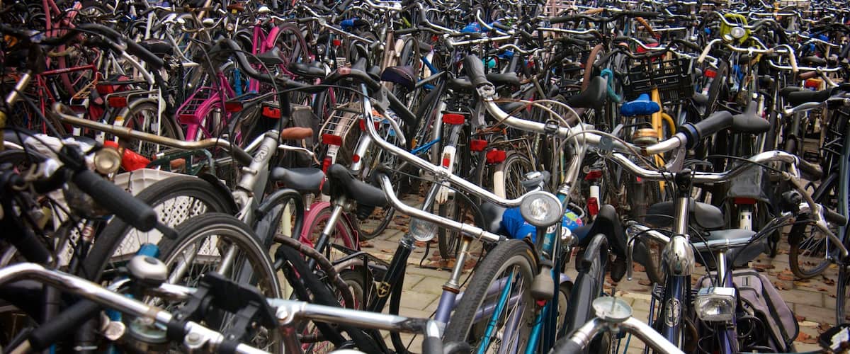Rotterdam featuring cycling