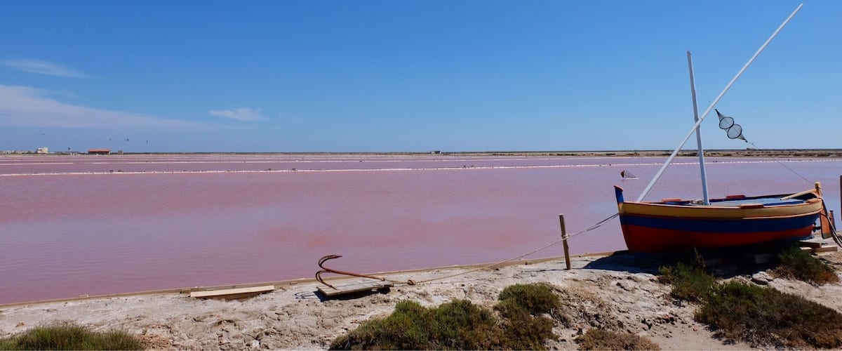 Les salins