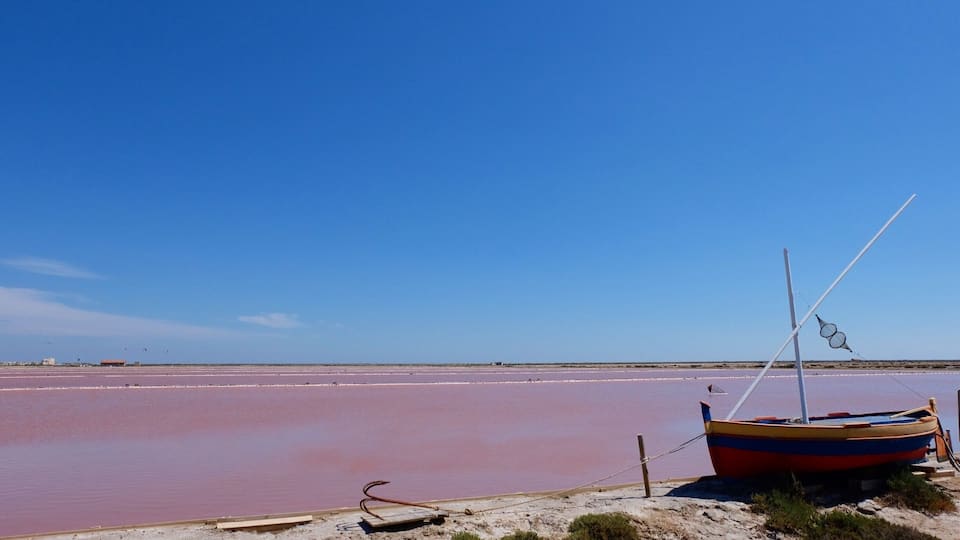 Les salins