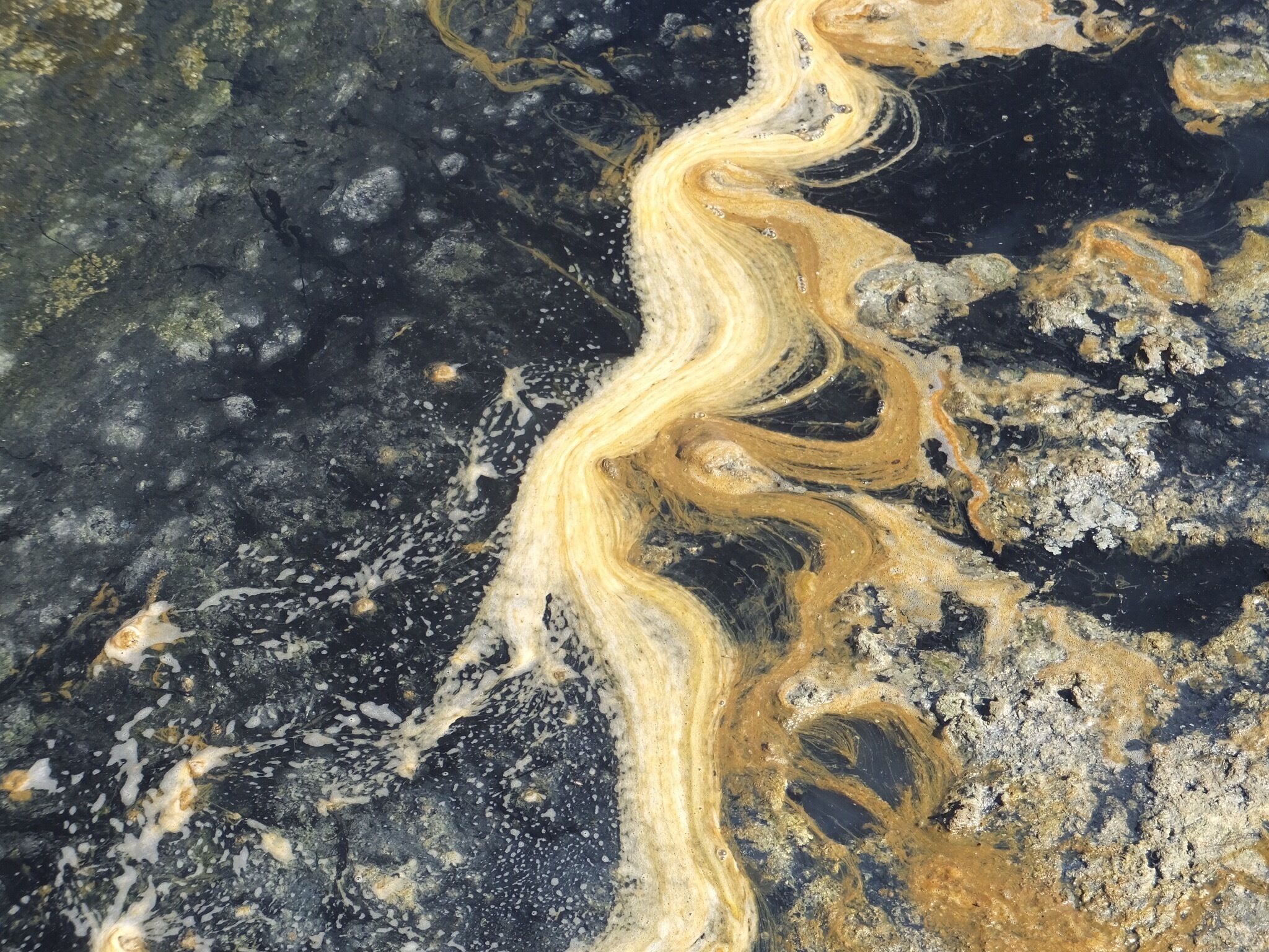 Joli fond de la saline 