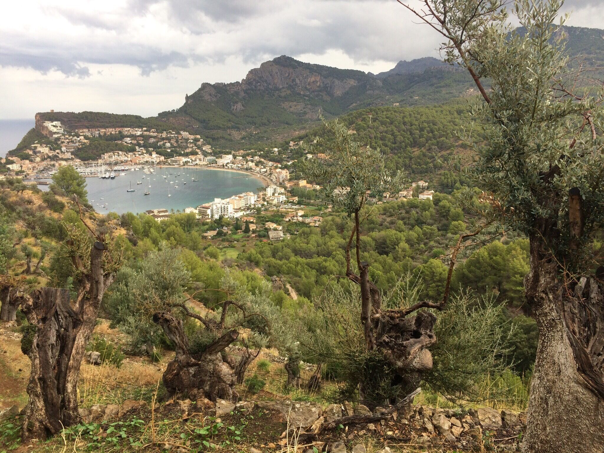 Found this most tranquil mountain path just of from soller port in Mallorca. Quite easy going unless you get caught in the rain like I did.