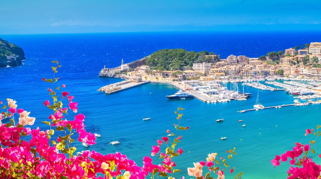 โซลเลอร์