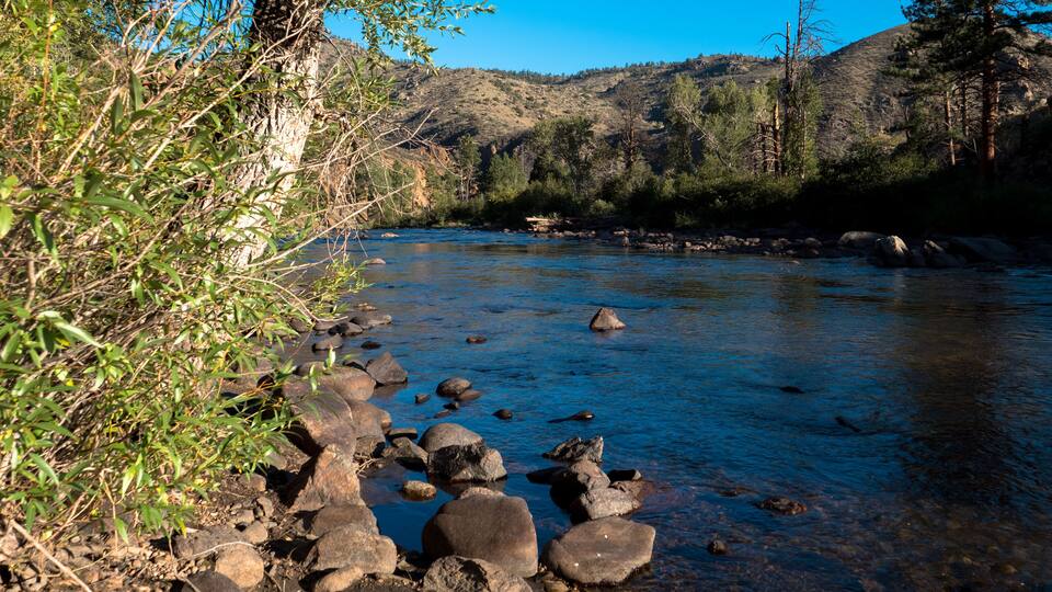 A river with clear water, surrounded by rocks and vegetation.