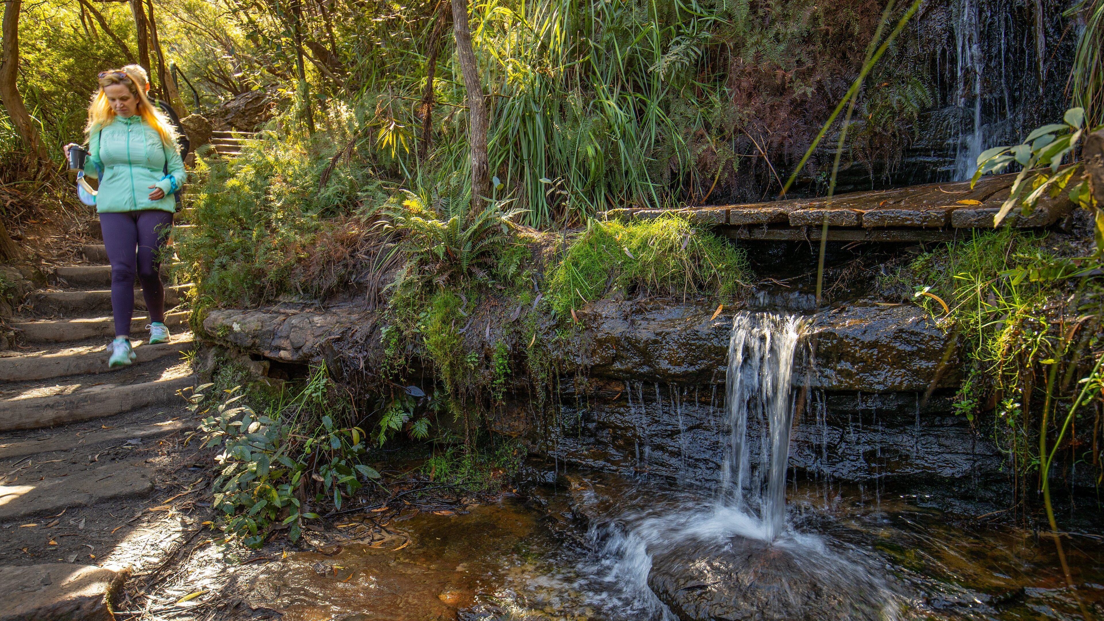 Wentworth Falls featuring hiking or walking and a river or creek as well as a couple