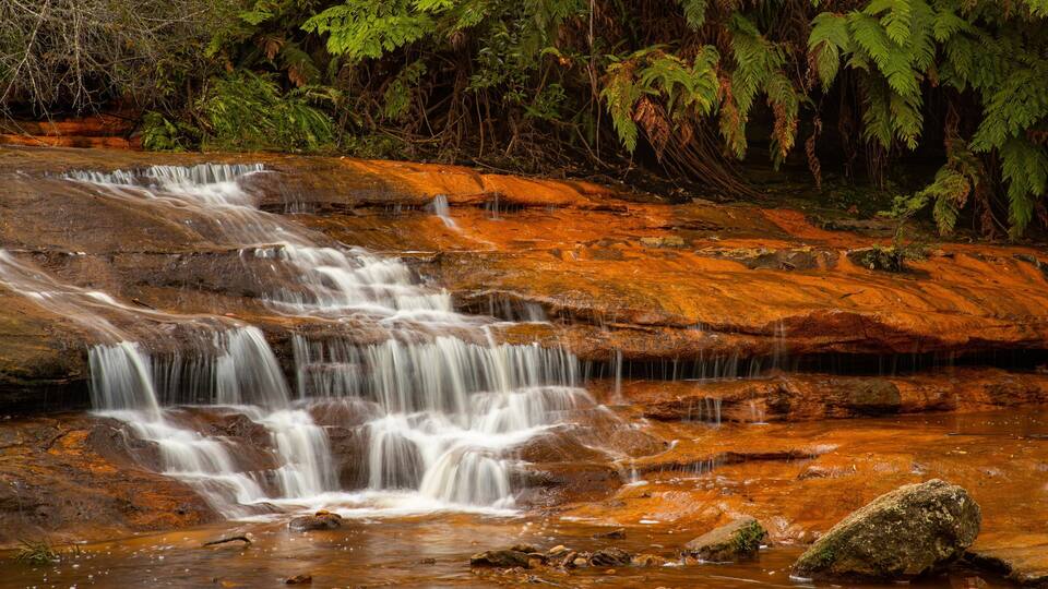 A waterfall cascading over reddish-brown rocks surrounded by lush green ferns.