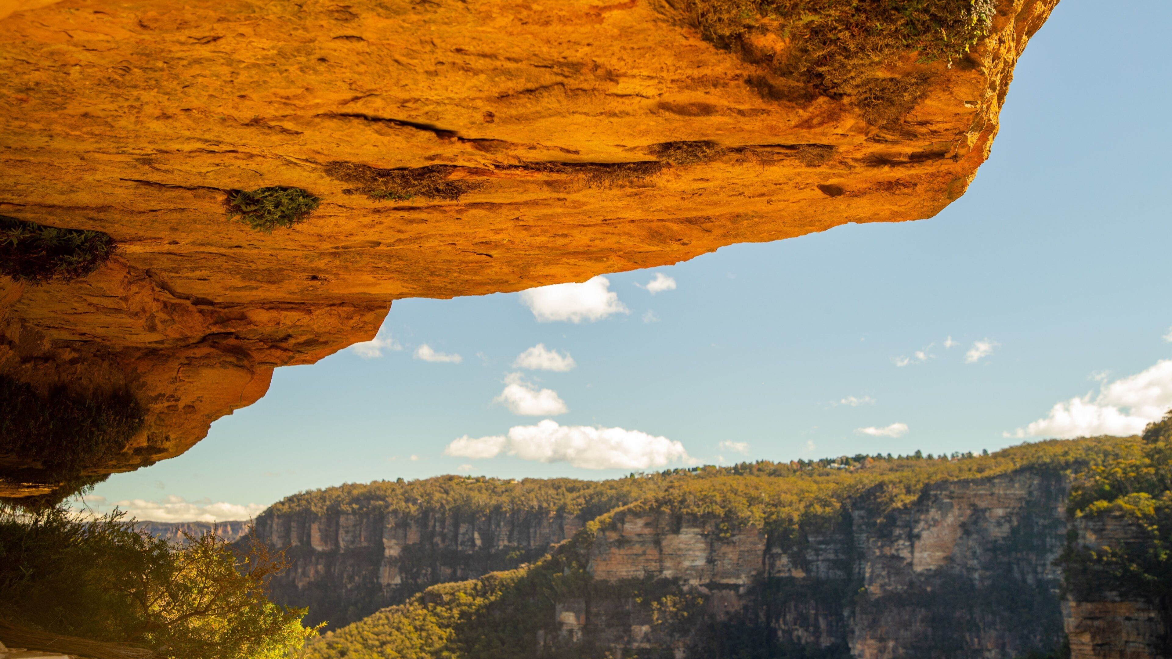 Wentworth Falls which includes a gorge or canyon