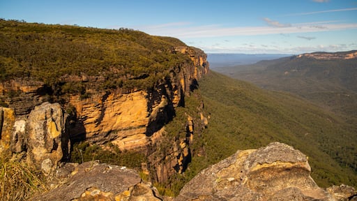 Wentworth Falls which includes landscape views and a gorge or canyon
