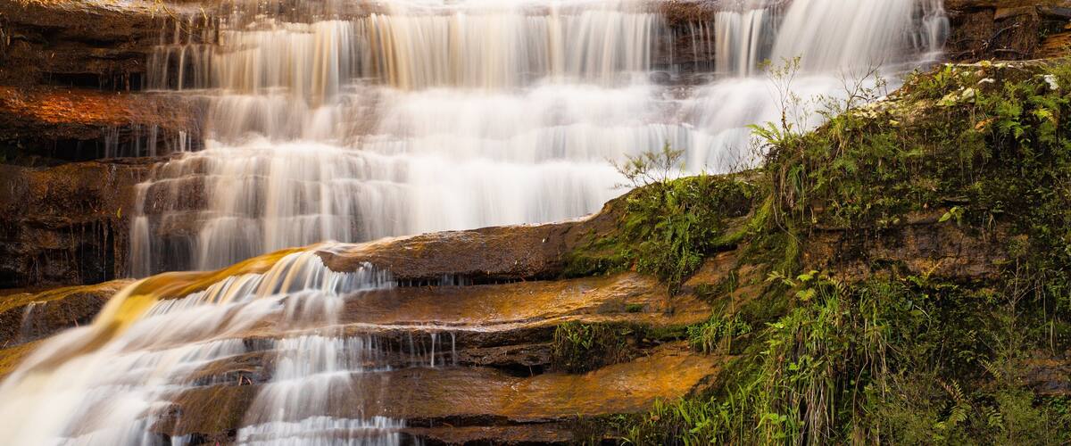 Wentworth Falls featuring a cascade