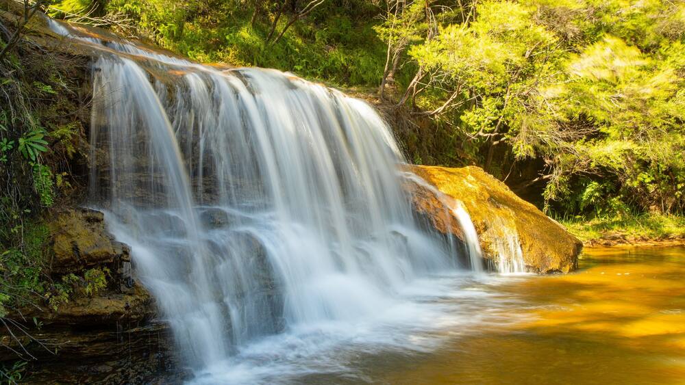Wentworth Falls which includes a river or creek