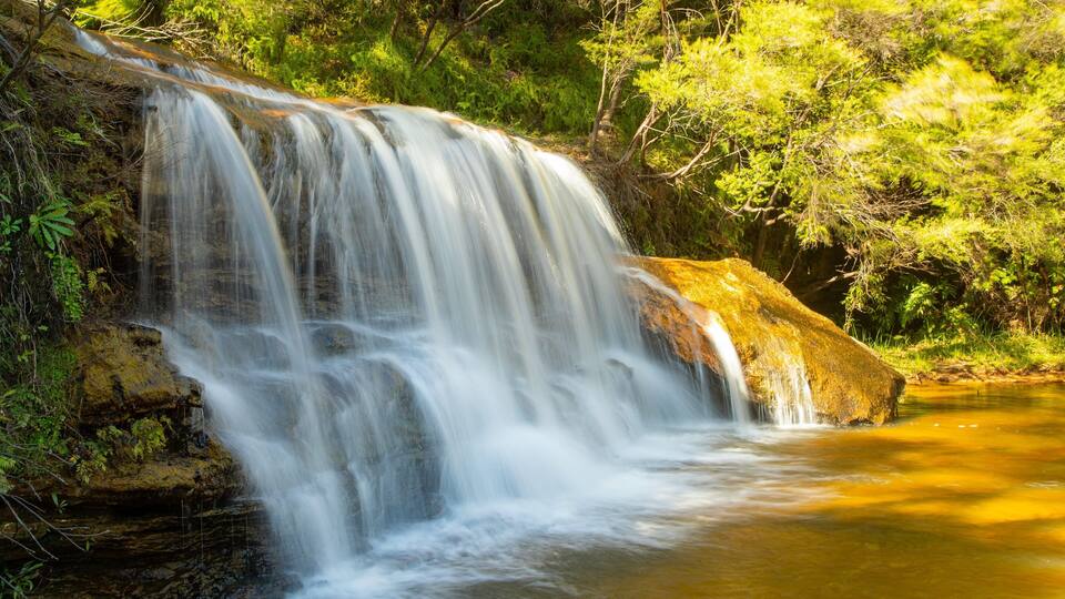 A waterfall cascading over rocks into a river surrounded by lush greenery.