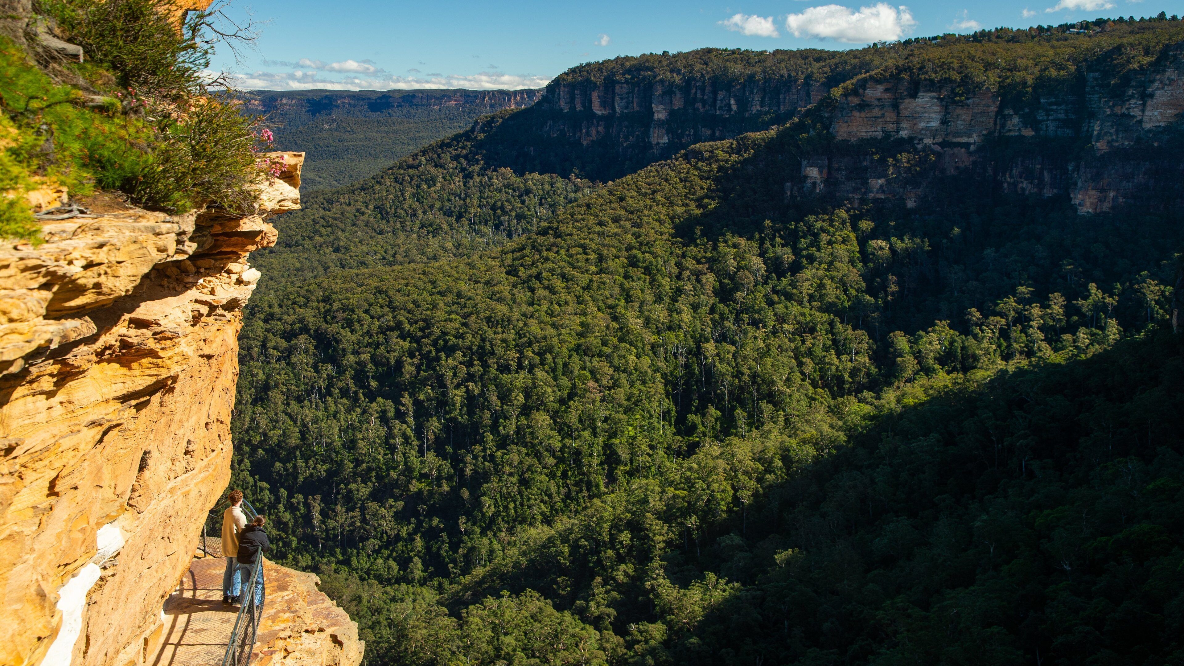 A cliff overlooking a dense forest with a valley below.