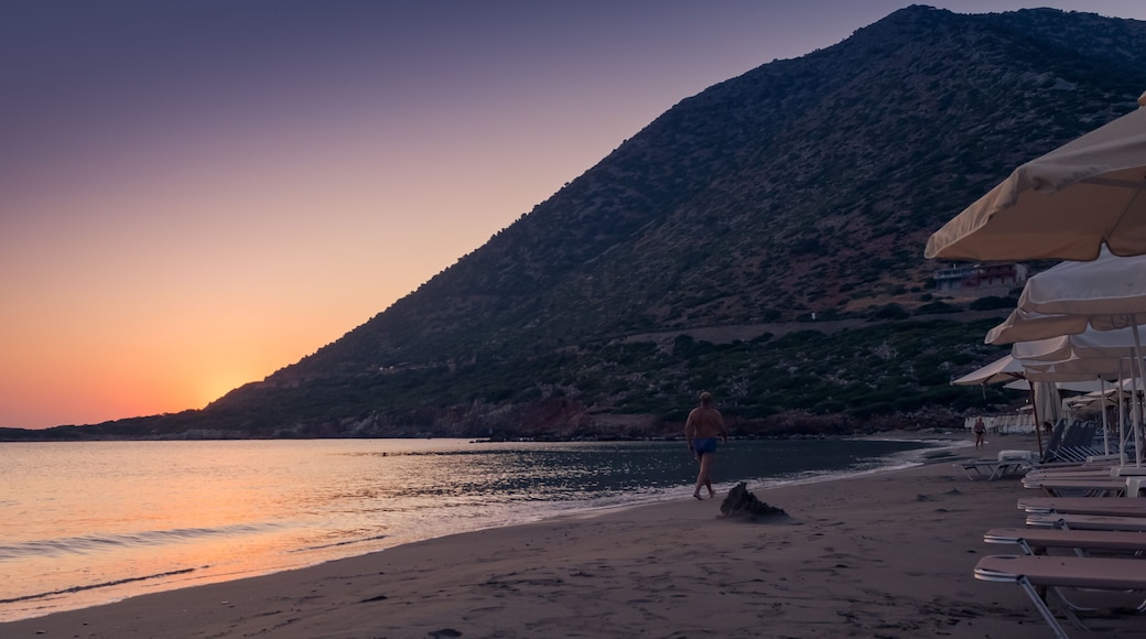 People jogging on bali beach sunrise