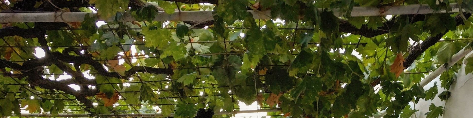 Passed this restaurant so many times on my walk around Bali.
They serve the most delicious spit roast lamb. It just melts in your mouth. They also serve some delicious vegetarian meals too.
One of several restaurants that are worth visiting near to The Old Port in Bali.