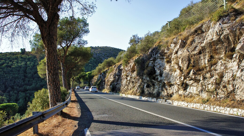 Tratto pisano della SS 12 radd.