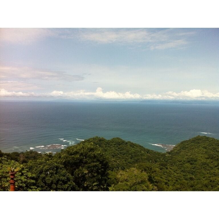 A coastal landscape with a view of the ocean, a beach, and dense green forest.
