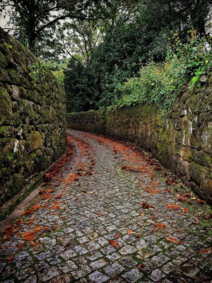 #morningwalk #colour #Portugal