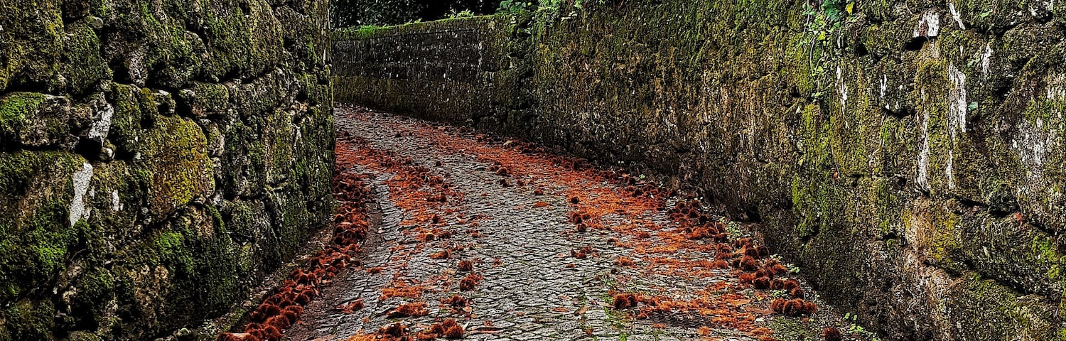 #morningwalk #colour #Portugal