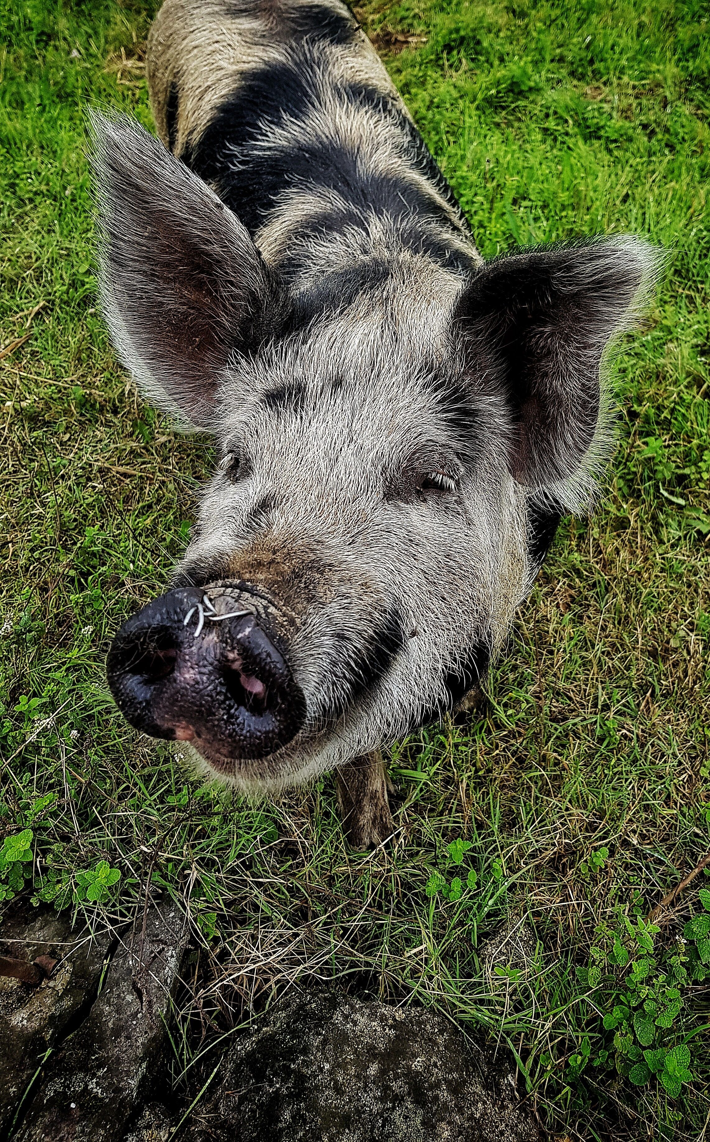 #morningwalk #colour #Portugal