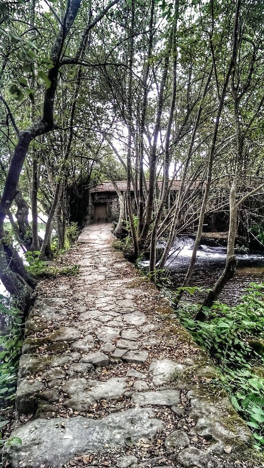 I'm spending a quiet time in Portugal, to reflect and discover a little bit more this amazing country. Here is were I'm spending time, on the backyard of my house, the perfect place to relax