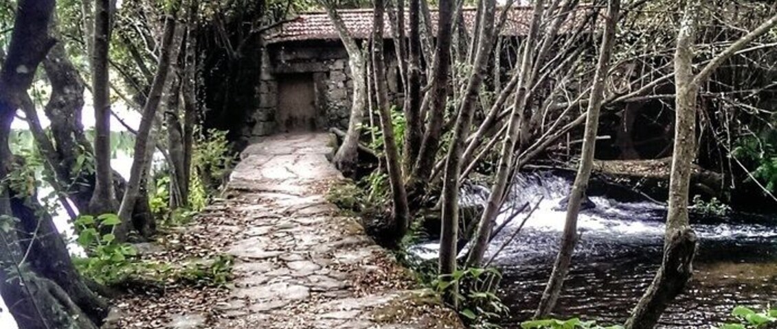 I'm spending a quiet time in Portugal, to reflect and discover a little bit more this amazing country. Here is were I'm spending time, on the backyard of my house, the perfect place to relax