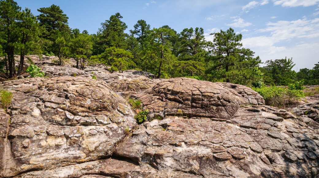 Petit Jean State Park