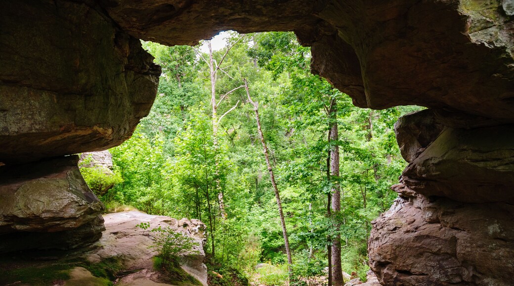 Petit Jean State Park