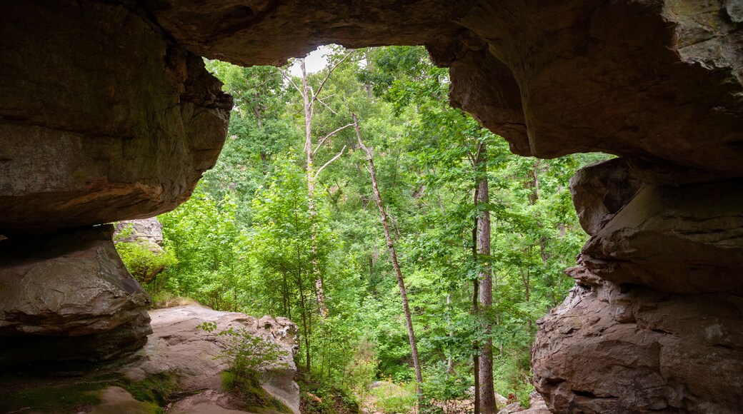Petit Jean State Park