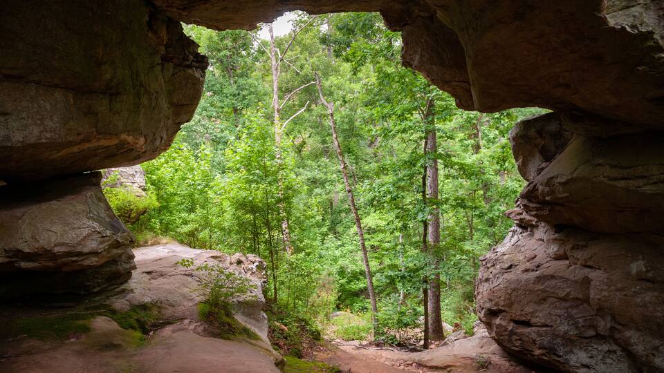 Petit Jean State Park