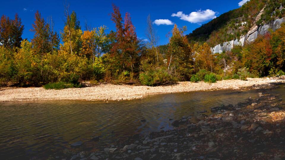 Fall Color Panorama