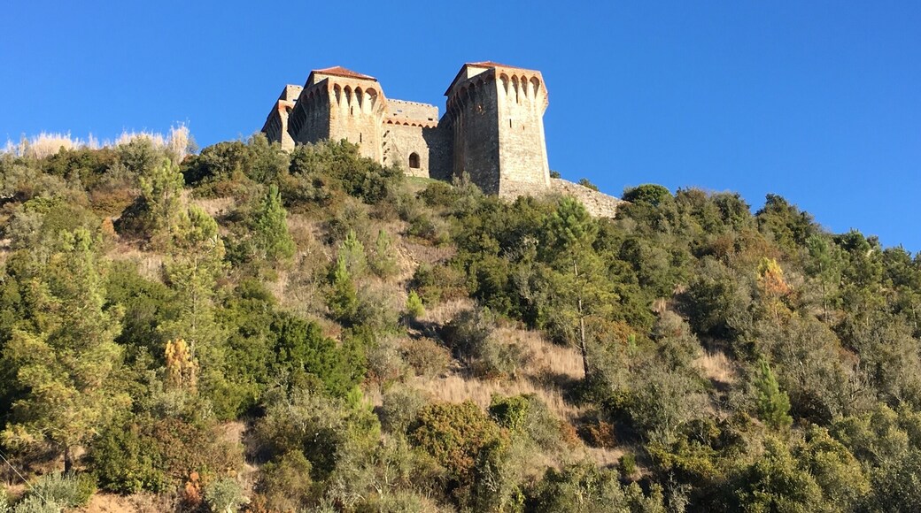 Castle of Ourém from the road