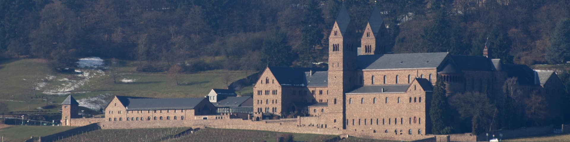 A large historic building with a prominent tower, surrounded by vineyards and a forested hill in the background.