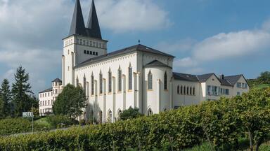A large white church with two tall spires and a vineyard in the foreground.