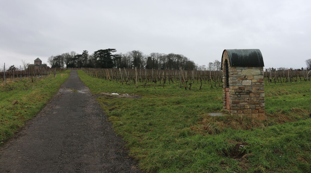 Johannisberg, Rheingau: Marienbildstock, östlich von Schloss Johannisberg, errichtet 1989