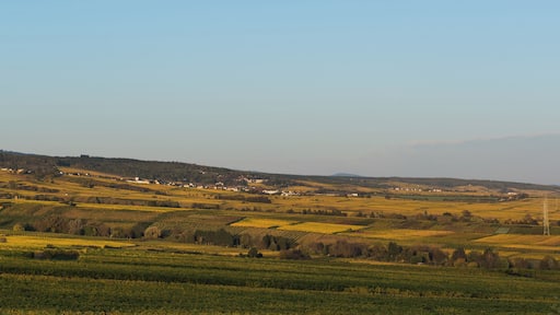 The vineyards of the middle Rheingau as seen from Johannisberg. The village of Hallgarten is visible in the distance