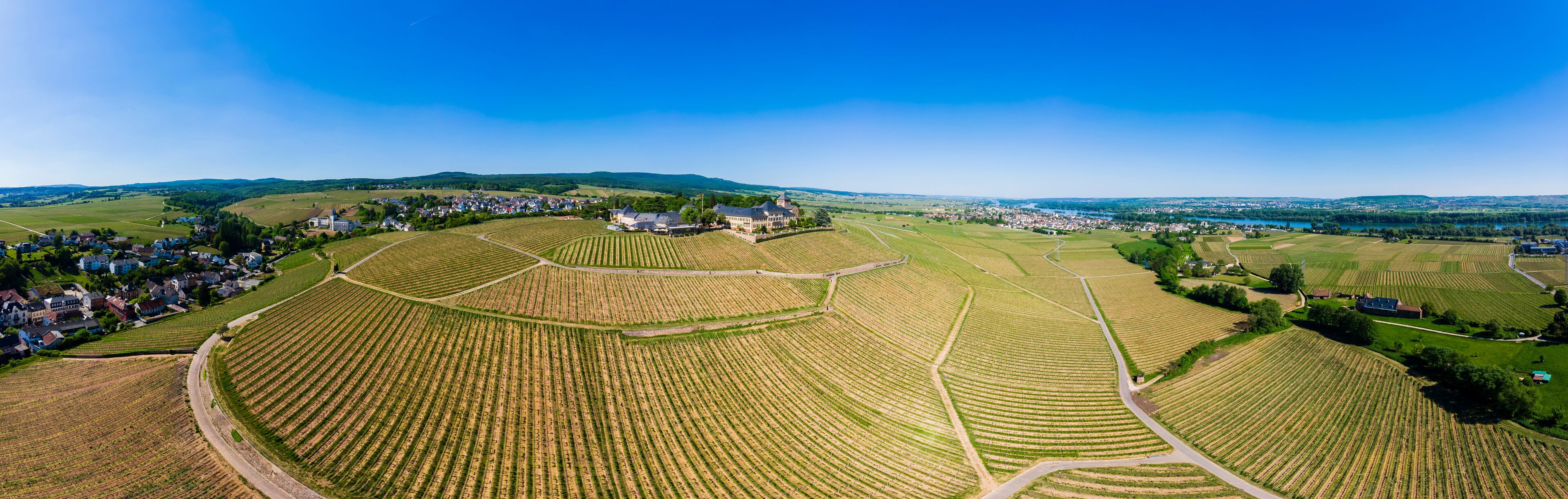 Germany, Hesse, Rheingau, Geisenheim, vine yards and Castle Johannisberg