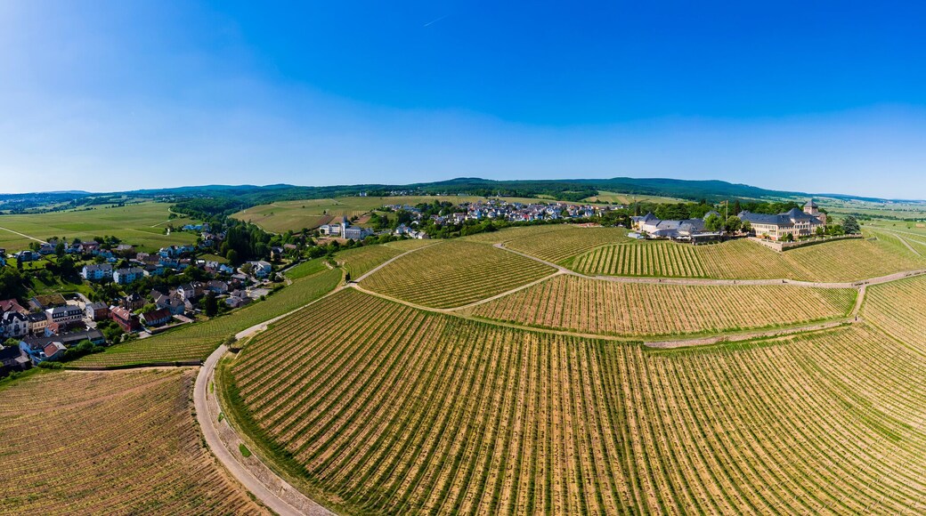 Germany, Hesse, Rheingau, Geisenheim, vine yards and Castle Johannisberg