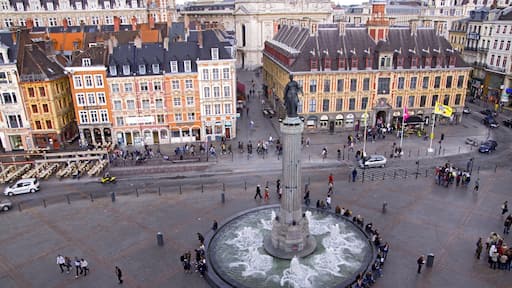 Lille showing a city, outdoor art and a fountain