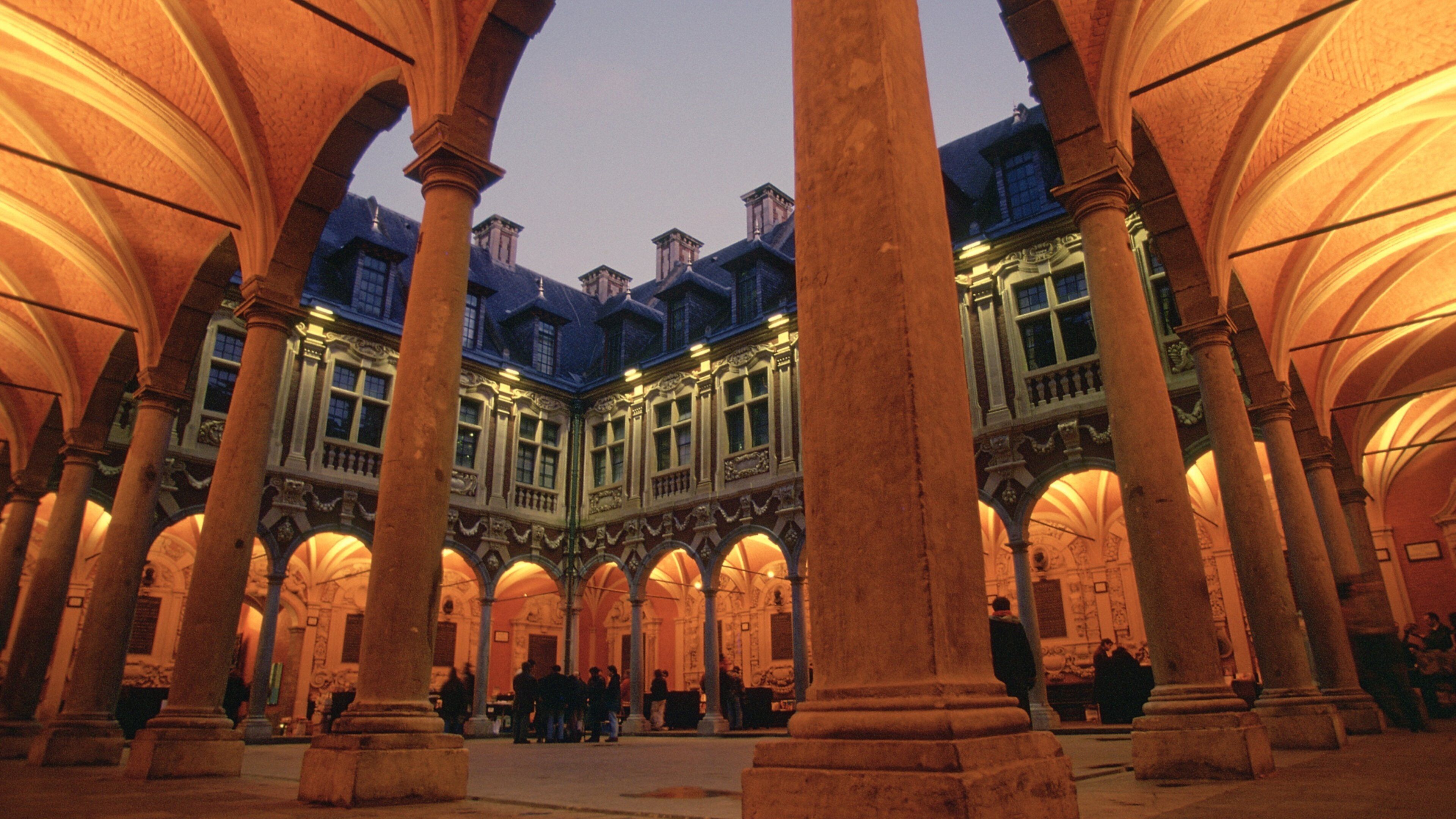 Lille featuring heritage architecture and a castle