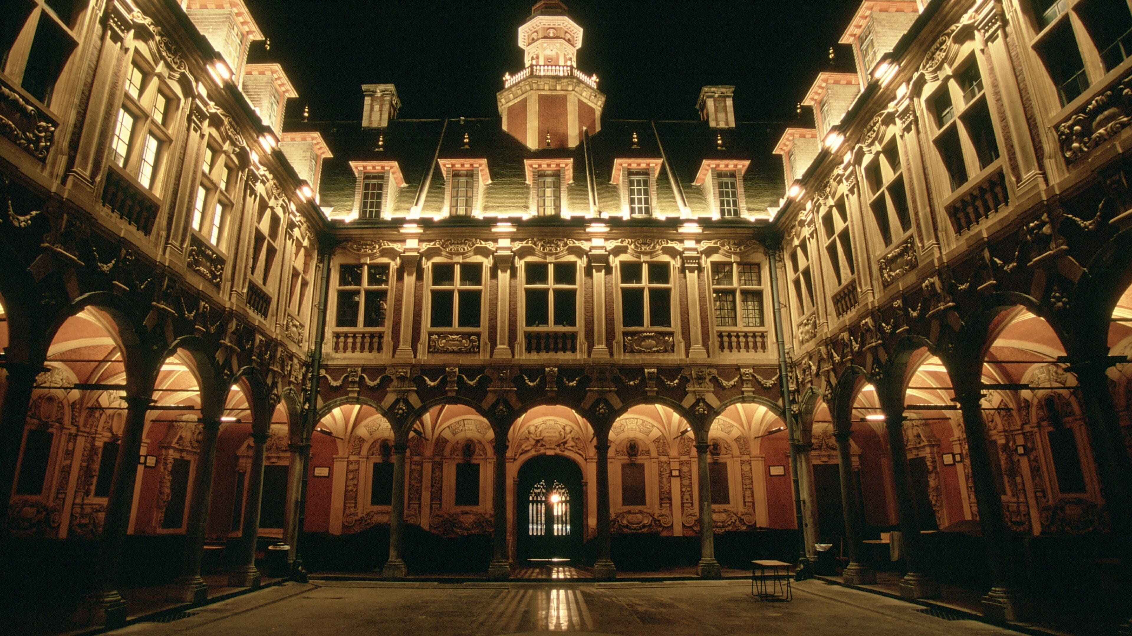 Lille which includes heritage architecture, château or palace and night scenes