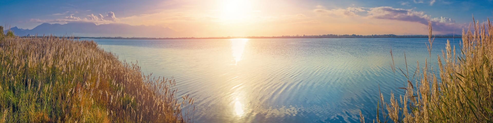 Etang de Canet,pyrénées orientales.