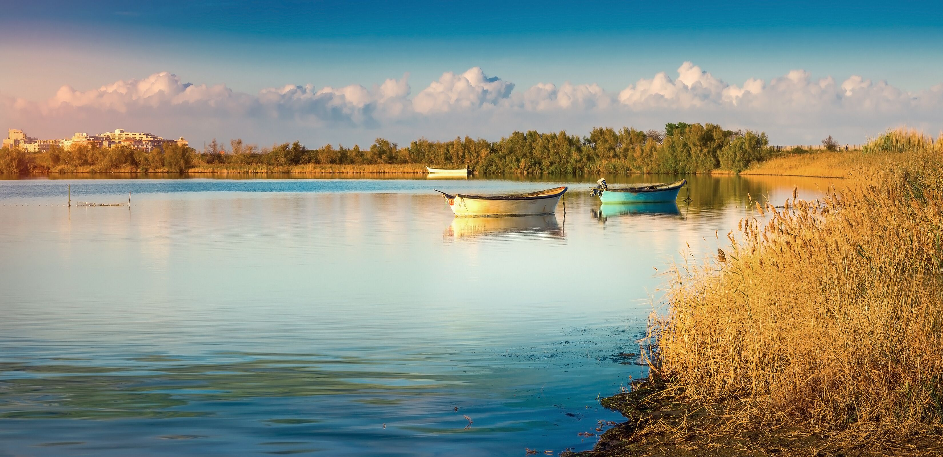 Etang de Canet,pyrénées orientales.