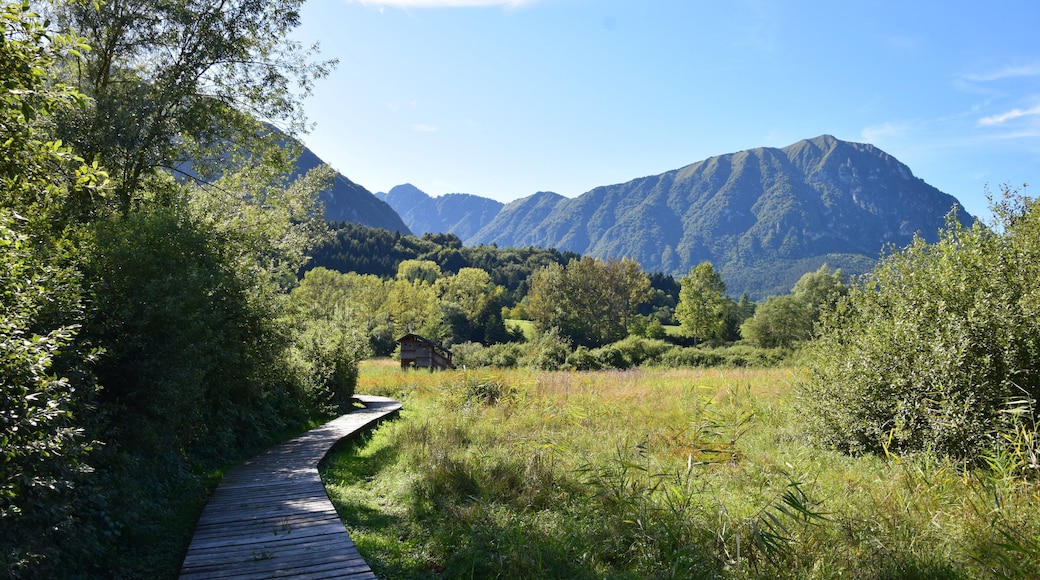 Biotopo Lomasona (Q3640220)