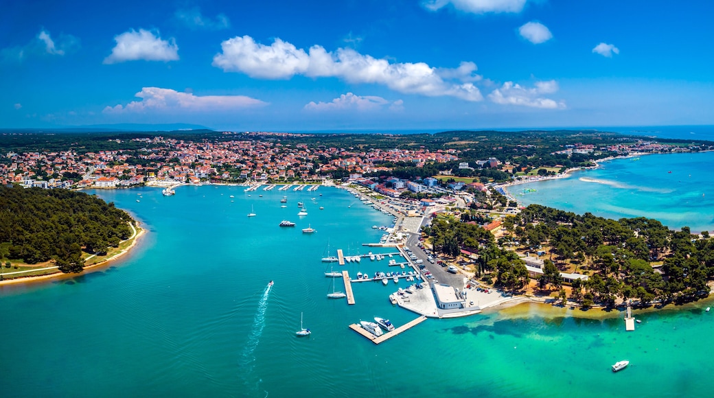 เมดูลิน