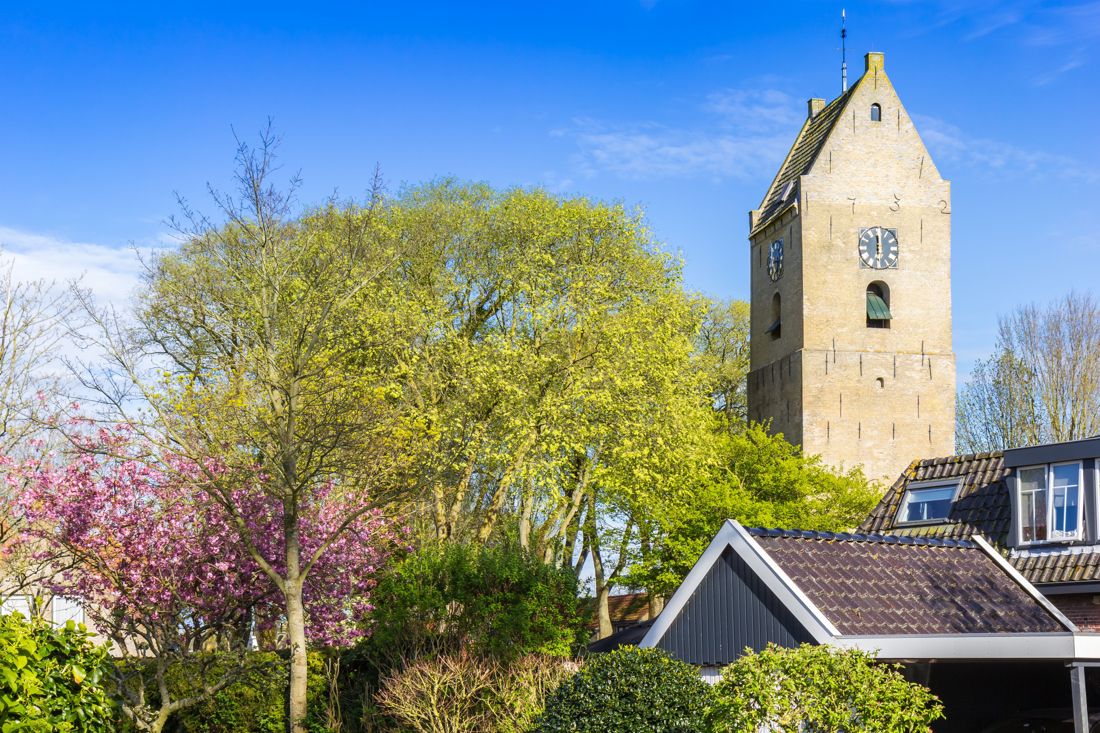 A historic tower with a clock, surrounded by blooming trees and residential buildings.