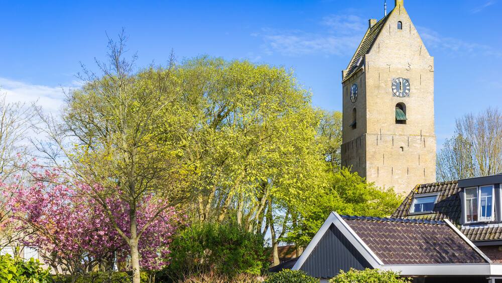 A historic tower with a clock, surrounded by blooming trees and residential buildings.
