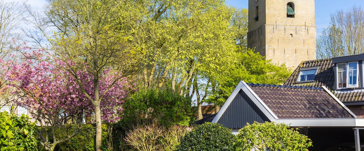 A historic tower with a clock, surrounded by blooming trees and residential buildings.