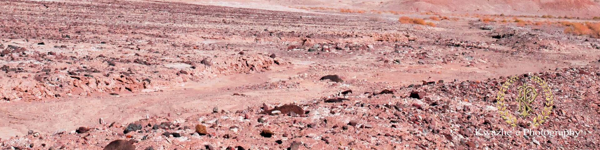 2020 of Feb 8th - Shoshone & Death Valley, California